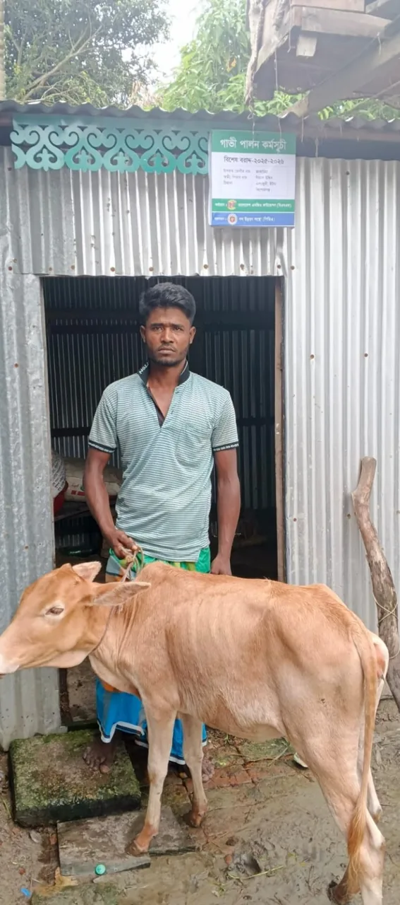 Livestock rearing activity